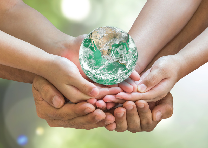 Making Packaging and Cardboard Disposal a Greener Process